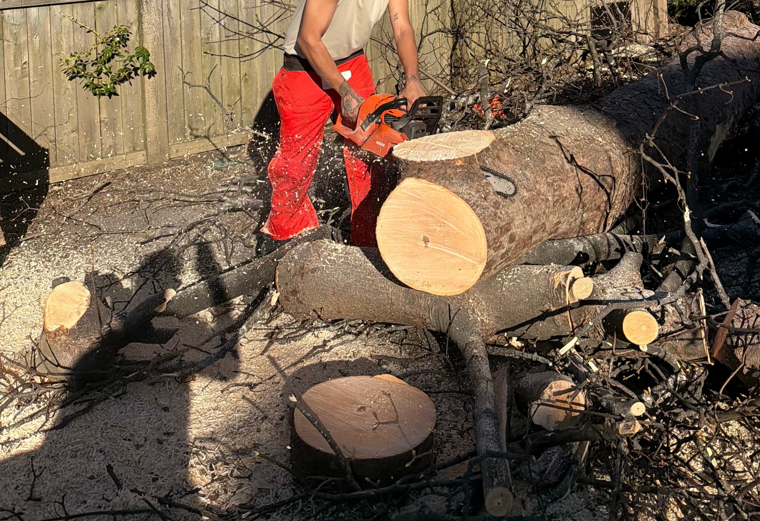 Tree Removal